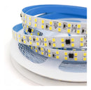 Fita Led ( Dupla 240led/m 10m Ip20 110v 3528 20w/m 3x Sem Juros )